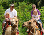 Camel Ride