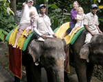 Elephant Back Safari
