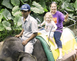 Elephant Back Safari