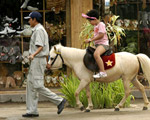 Pony Ride