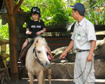 Pony Ride