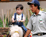 Pony Ride